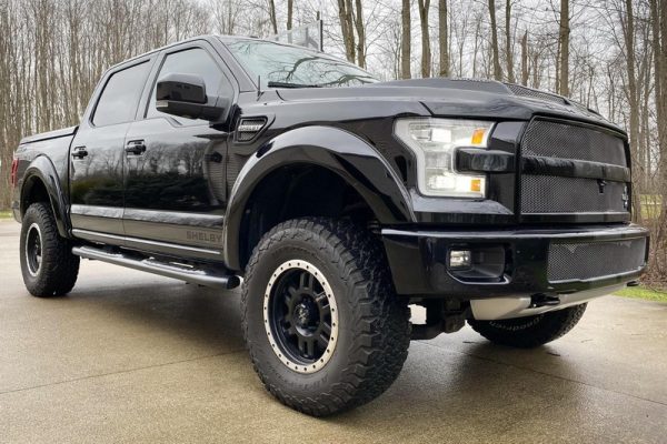 2016 Ford Shelby F-150