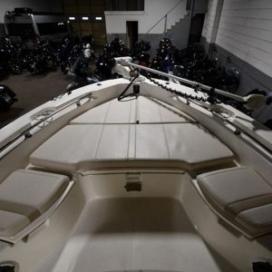 2022 Boston Whaler 250 Dauntless