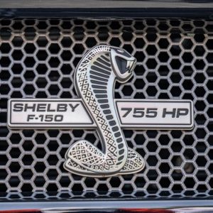 2019 Ford Shelby F-150 4×4