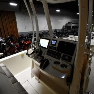 2022 Boston Whaler 250 Dauntless