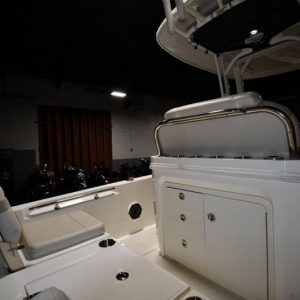 2022 Boston Whaler 250 Dauntless