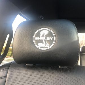 2016 Ford Shelby F-150