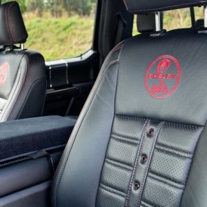 2019 Ford Shelby F-150 4×4