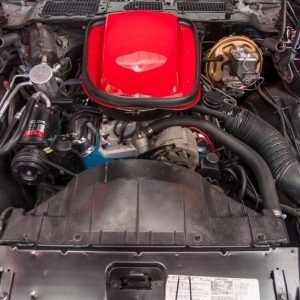 1978 Pontiac Trans Am Macho